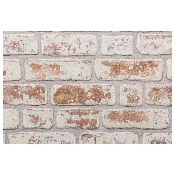 vidaXL Zidne panele 10 pcs Crvena i bijela 100 x 50 cm EPS pjena