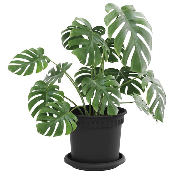 Prikazuje se slika proizvoda 3 od 12