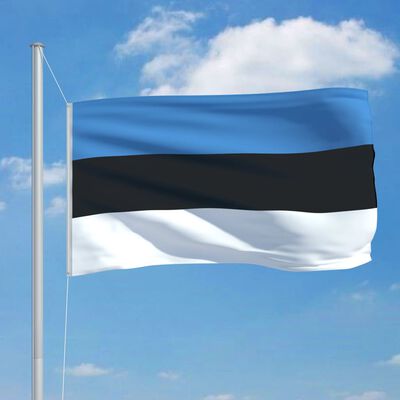 vidaXL Estonska zastava s aluminijskim stupom 6,2 m
