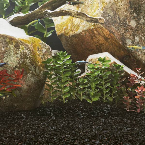 Prikazuje se slika proizvoda 2 od 5