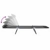 vidaXL Sklopiva ležaljka za sunčanje 2 pcs Crna 182 x 55 x 85.5 cm