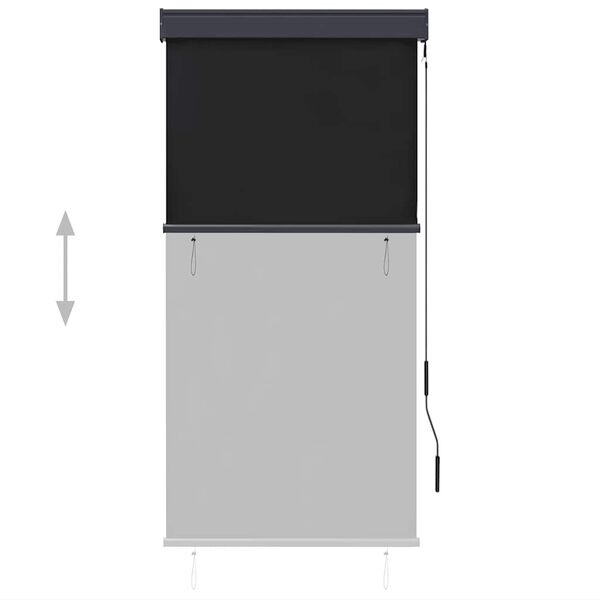 vidaXL Vanjska roleta 80 x 250 cm antracit