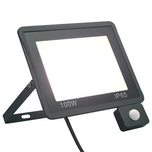 vidaXL LED reflektor sa senzorom 100 W hladni bijeli