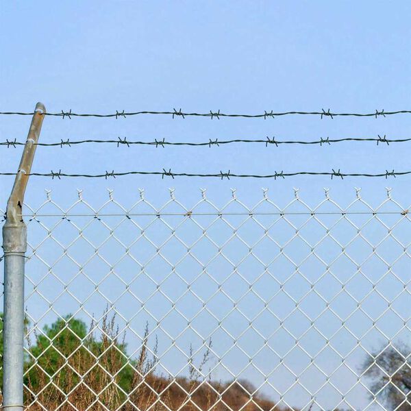 vidaXL Bodljikava žica Zelena 100 m Čelik vruće galvaniziran