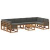 vidaXL Set vanjskih sofa s jastukom 11 pcs Prirodna i antracit