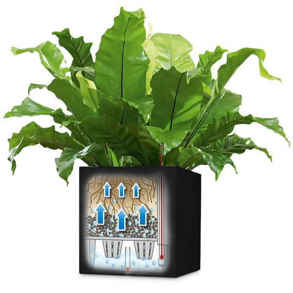 LECHUZA posuda za sadnju Canto Color Square 40 ALL-IN-ONE grafitna