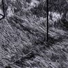 Sličica proizvoda 7 od 10