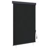 vidaXL Vanjska roleta 120 x 250 cm antracit