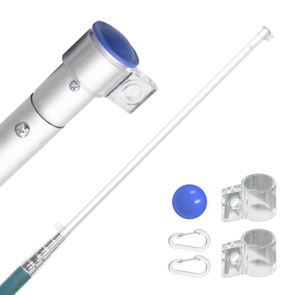 vidaXL Teleskopski stup za zastavu srebrni 5,5 m aluminijski