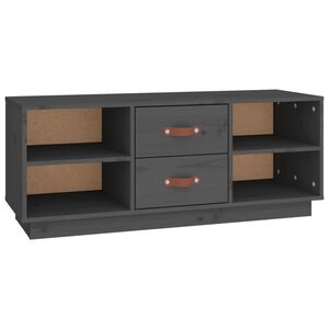vidaXL TV ormarić sivi 100x34x40 cm od masivne borovine