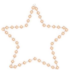 vidaXL Figura božićne zvijezde s 48 LED žarulja topla bijela 56 cm