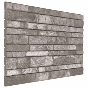 vidaXL Zidne panele 10 kom. 100 x 50 cm Tamnosiva EPS pjena