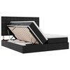 vidaXL Krevet s prostorom za pohranu s LED-om Crna 200 x 200 cm