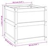 vidaXL Vrtna sadilica 60 x 60 x 60 cm od impregnirane borovine