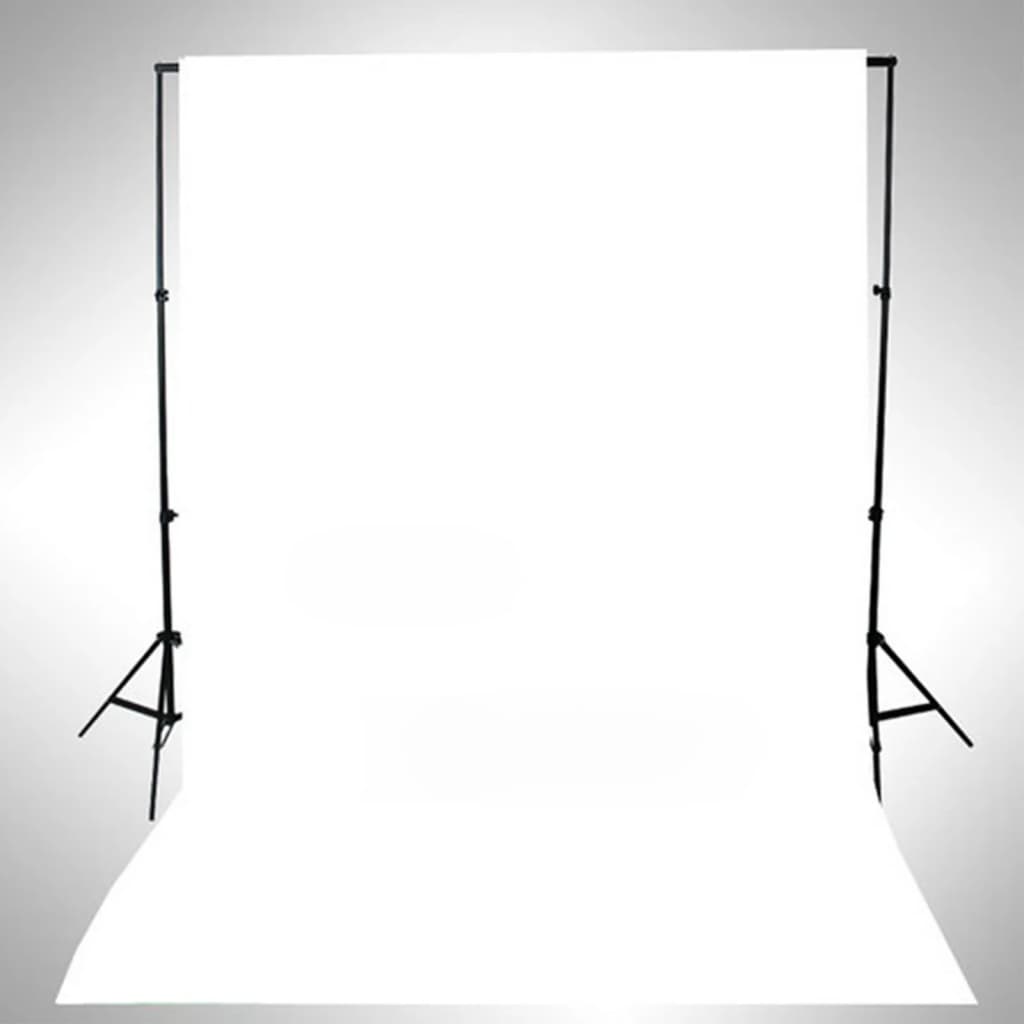 vidaXL Fotografska studijska oprema sa setom svjetala i pozadinom