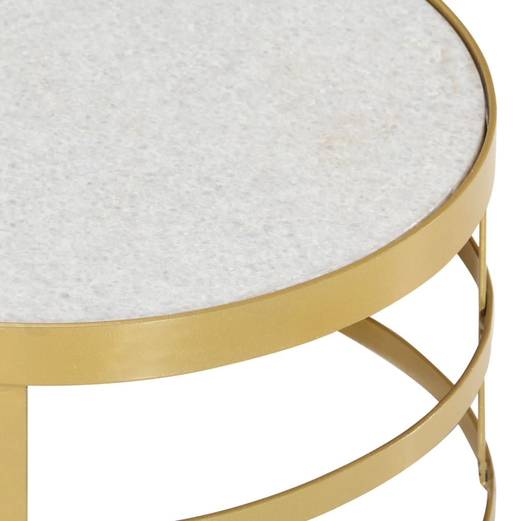vidaXL 2-dijelni set stolića za kavu mramorni mjedeno-bijeli
