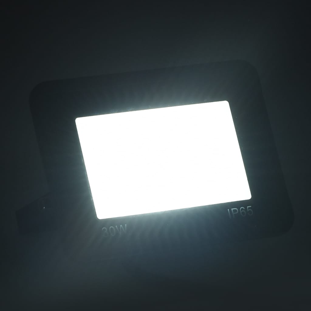 vidaXL LED reflektori 2 kom 30 W hladni bijeli