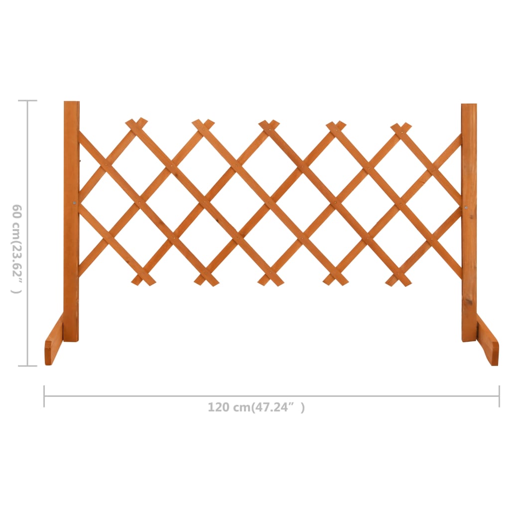 vidaXL Vrtna rešetkasta ograda narančasta 120 x 60 cm masivna jelovina