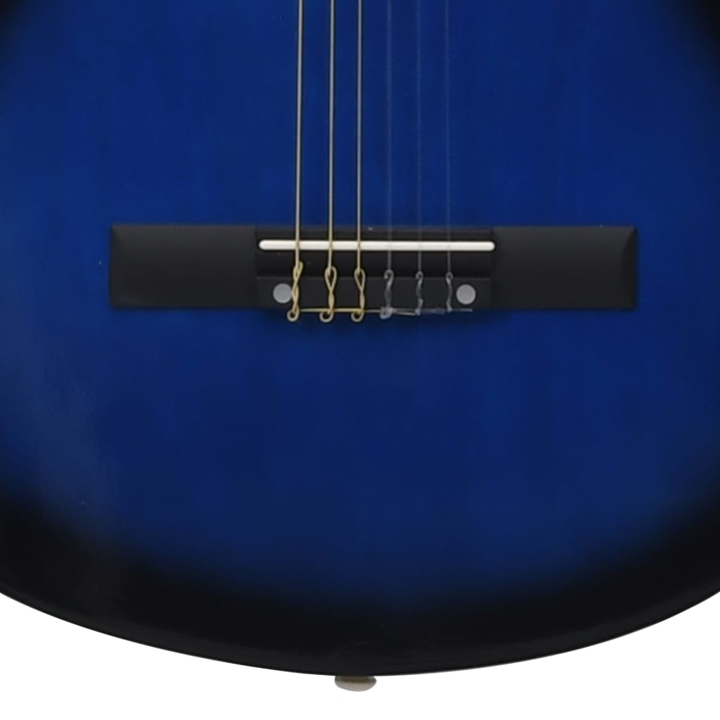vidaXL 12-dijelni set klasične gitare za početnike plavi 4/4 39"