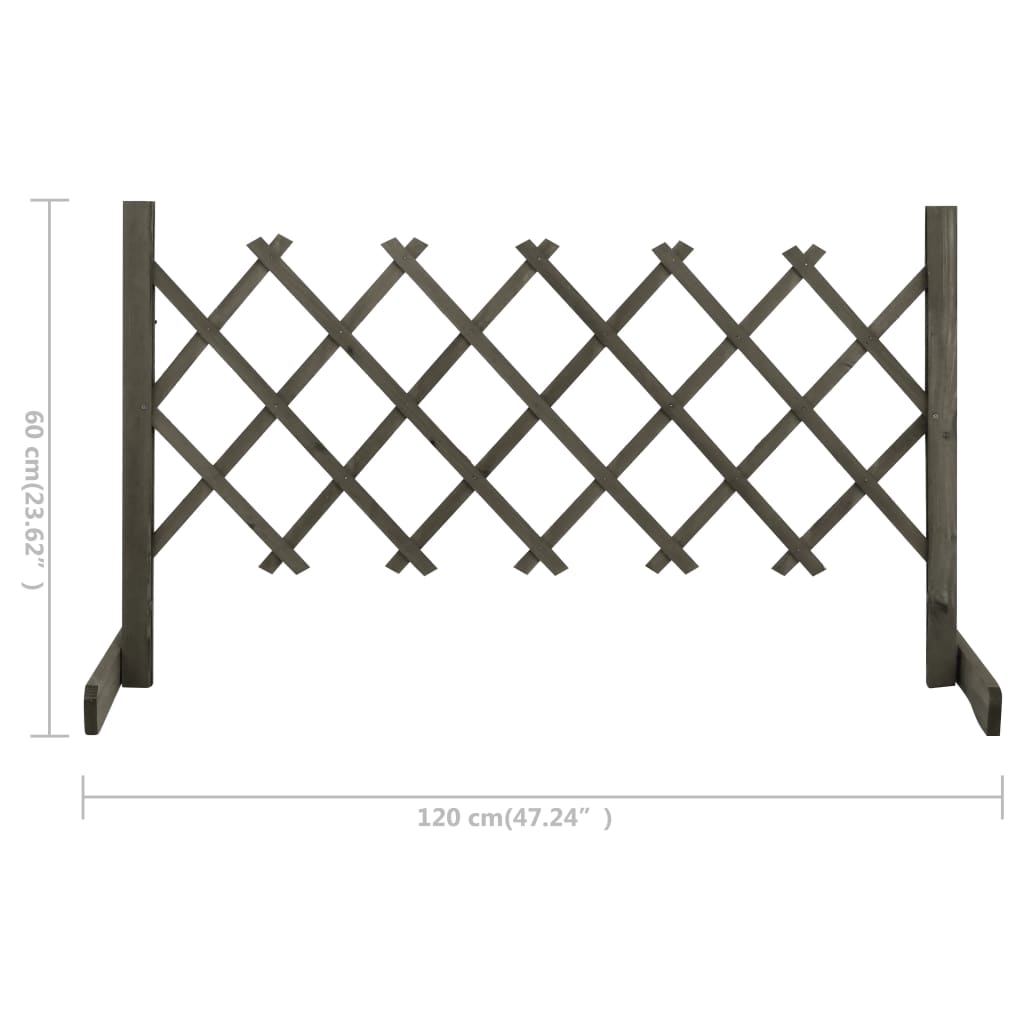 vidaXL Vrtna rešetkasta ograda siva 120 x 60 cm od masivne jelovine