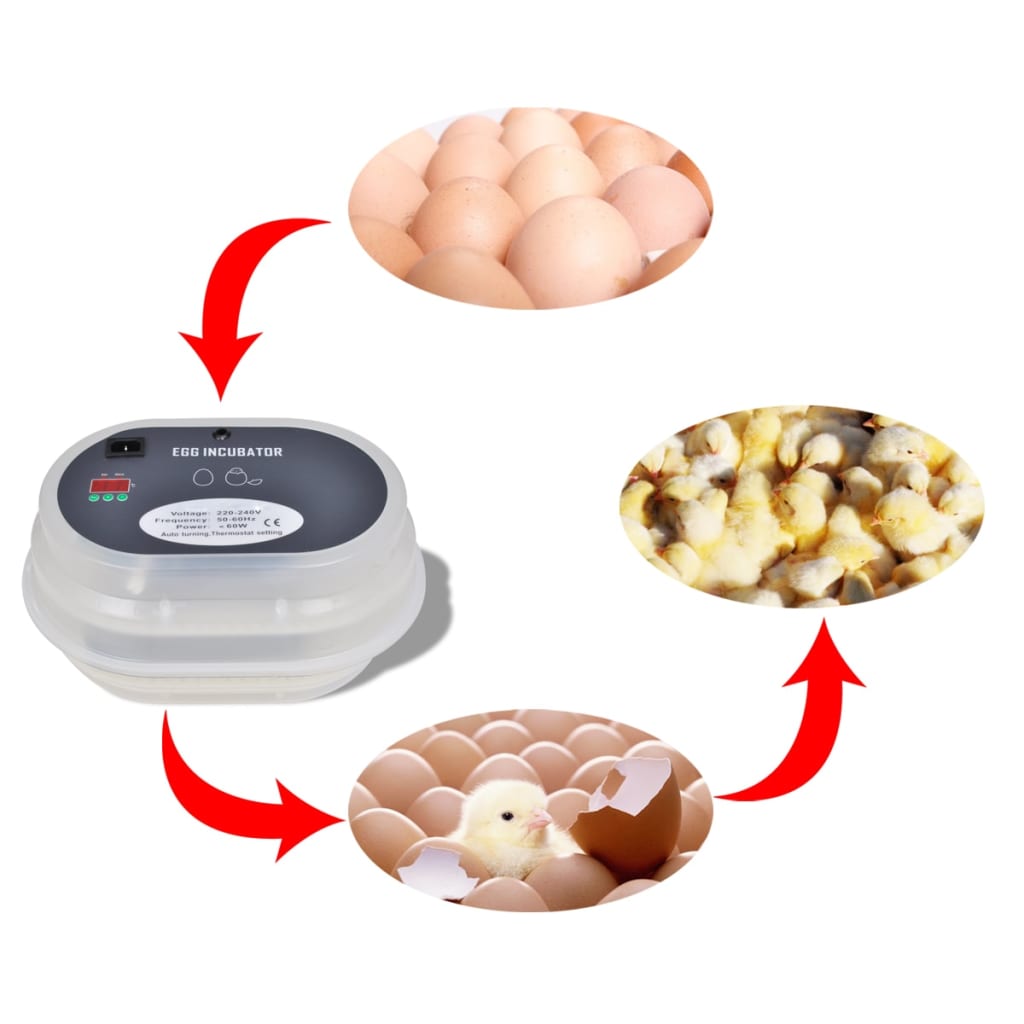 Automatski jaje inkubator za 9 kokošjih jaja