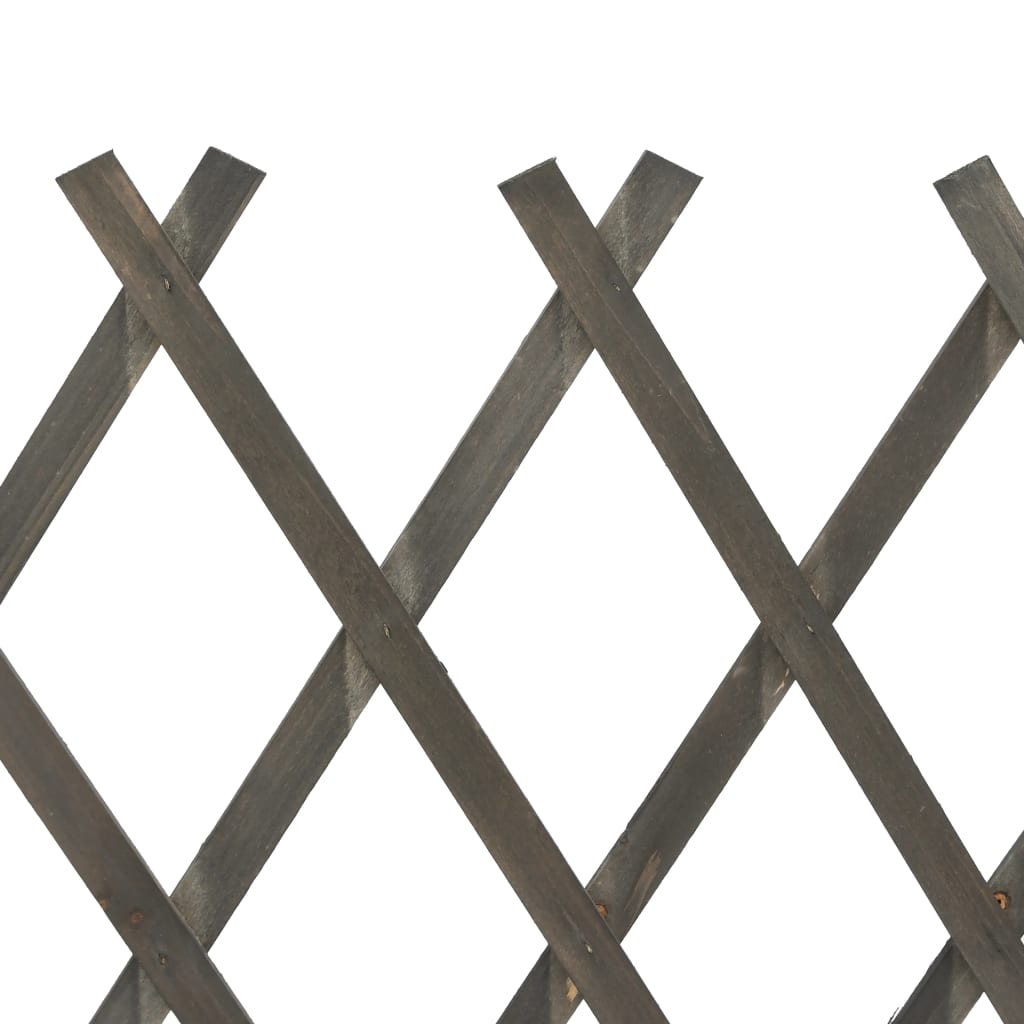 vidaXL Vrtna rešetkasta ograda siva 120 x 90 cm od masivne jelovine