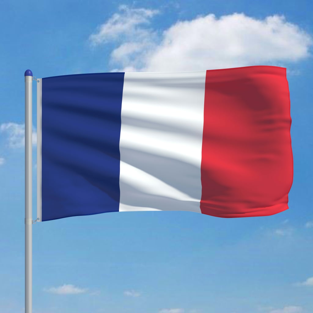 vidaXL Francuska zastava s aluminijskim stupom 6 m