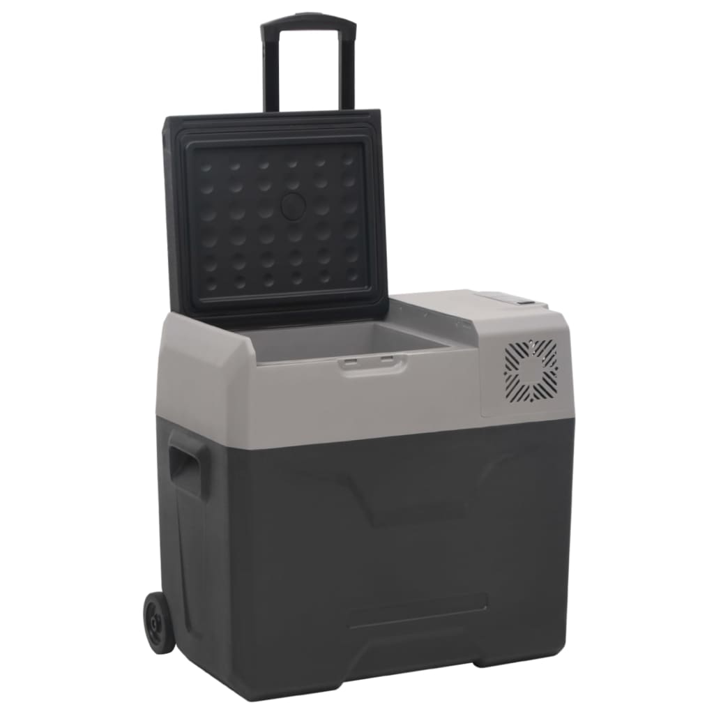 vidaXL Prijenosni hladnjak s kotačima i adapterom crno-sivi 30 L PP