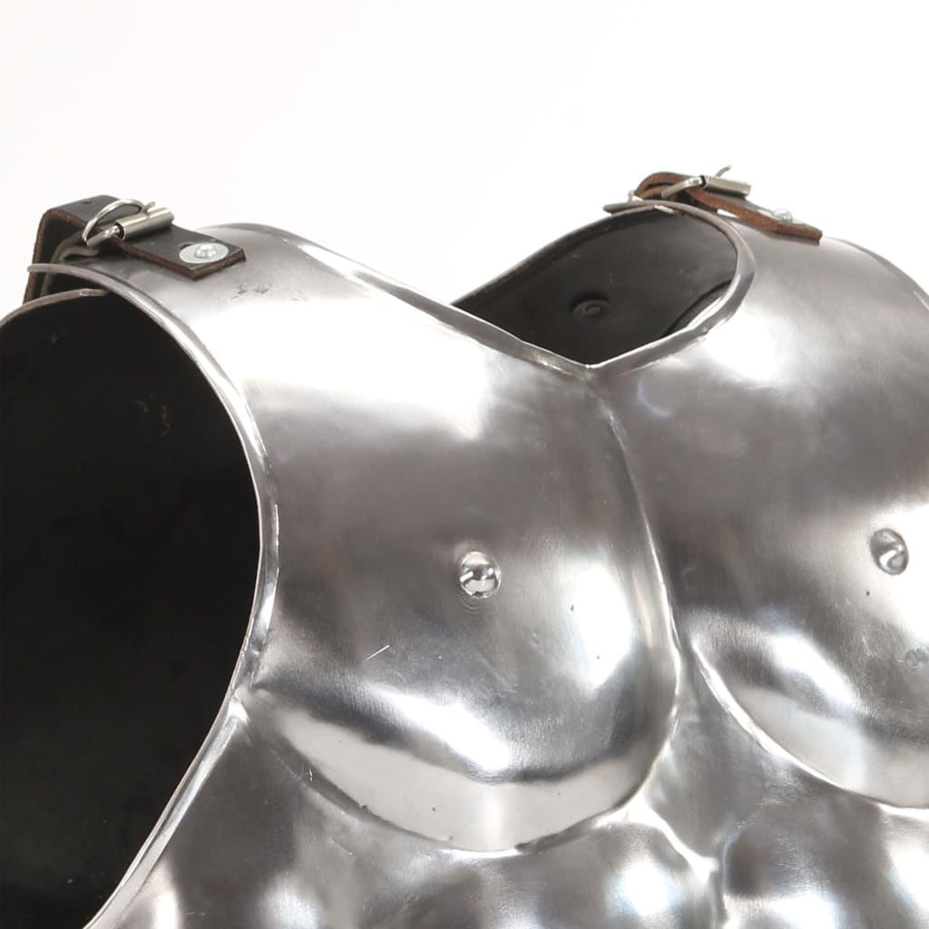 vidaXL Replika rimskog vojničkog oklopa za LARP srebrna čelična