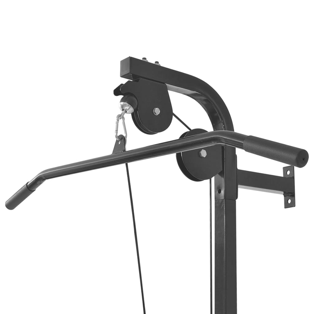 vidaXL Zidna sprava za vježbanje s pločama za utege 40 kg