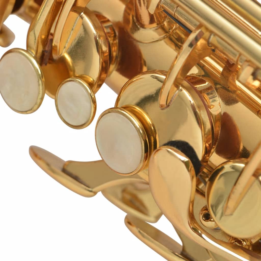 vidaXL Alto Saksofon Žuti mesing s zlatnim lakom Eb
