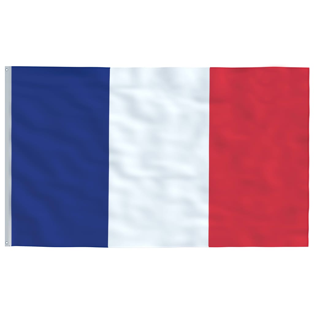 vidaXL Francuska zastava s aluminijskim stupom 6 m