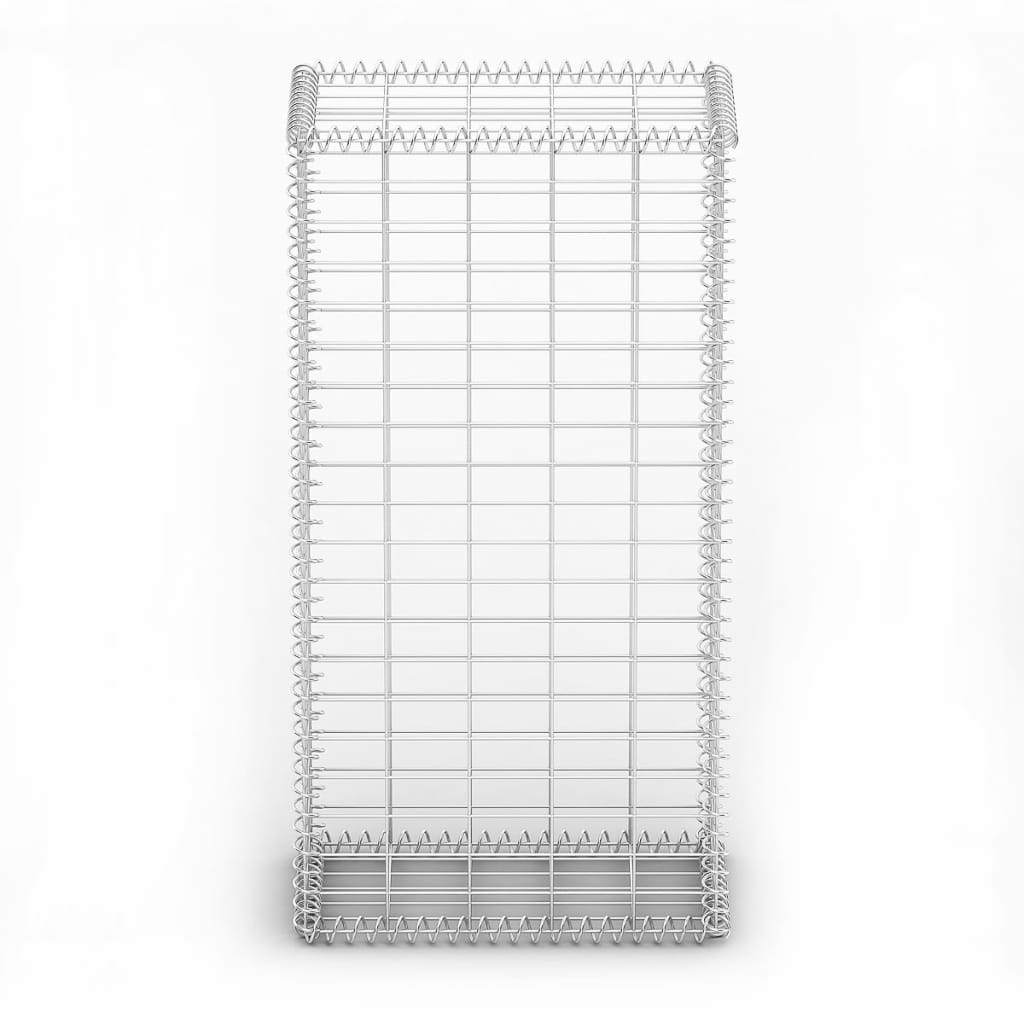 vidaXL Gabionska košara s poklopcima od pocinčane žice 100 x 50 x 30 cm