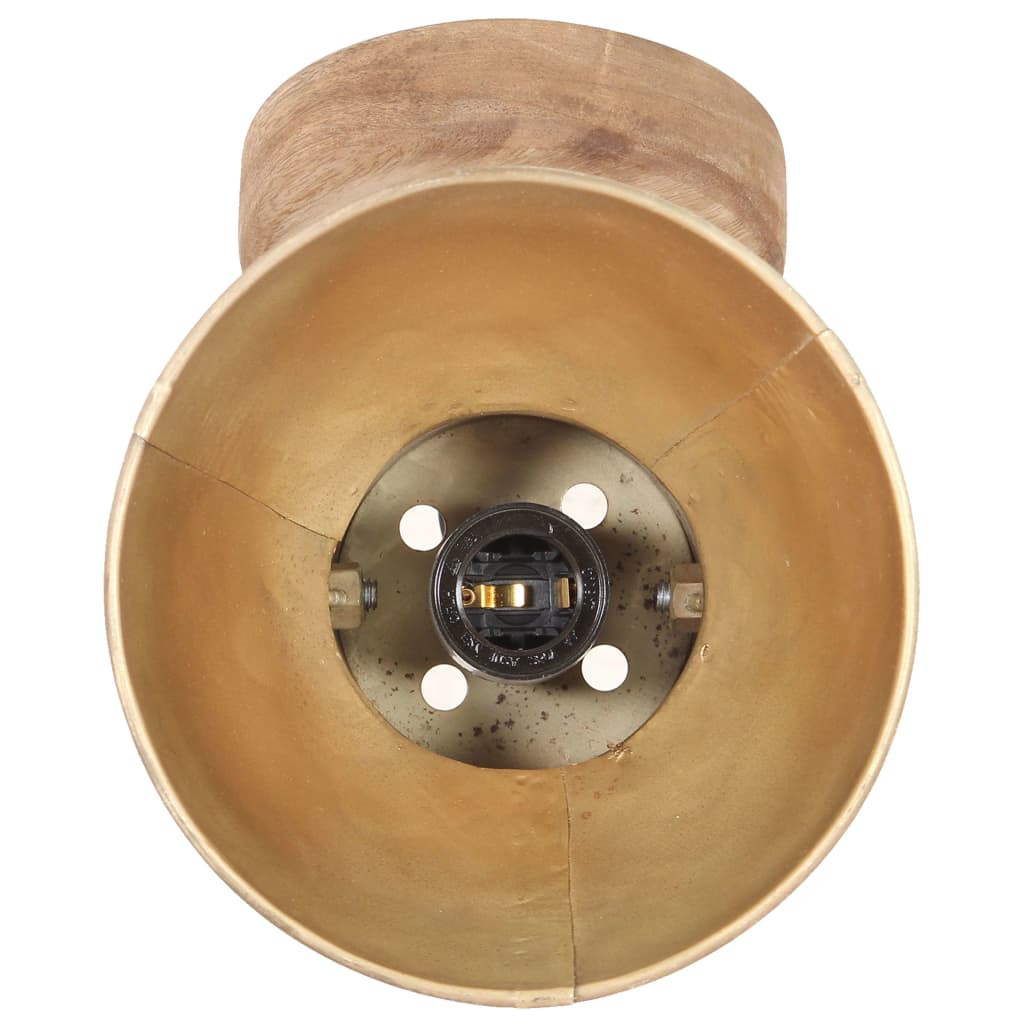 vidaXL Industrijske zidne/stropne svjetiljke 2kom mjedene 20x25 cm E27