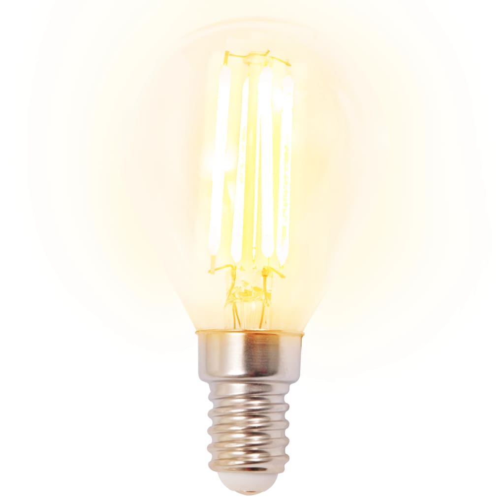 vidaXL Stropna svjetiljka s 2 LED žarulje sa žarnom niti 8 W