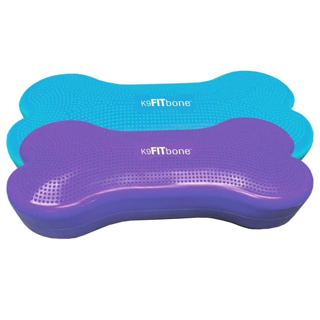 FitPAWS platforma za ravnotežu ljubimaca Giant K9FITbone PVC plava