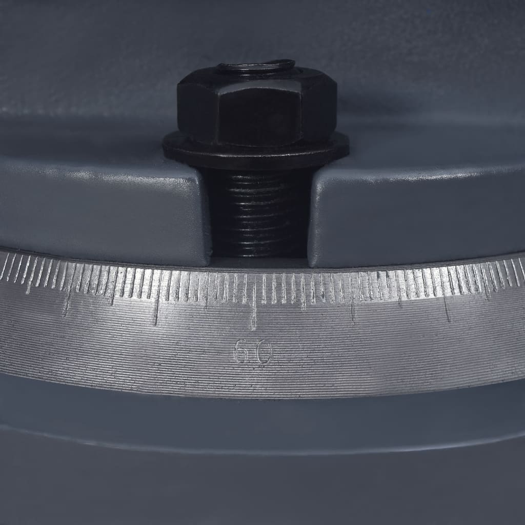 vidaXL Okretna stega od lijevanog željeza 100 mm