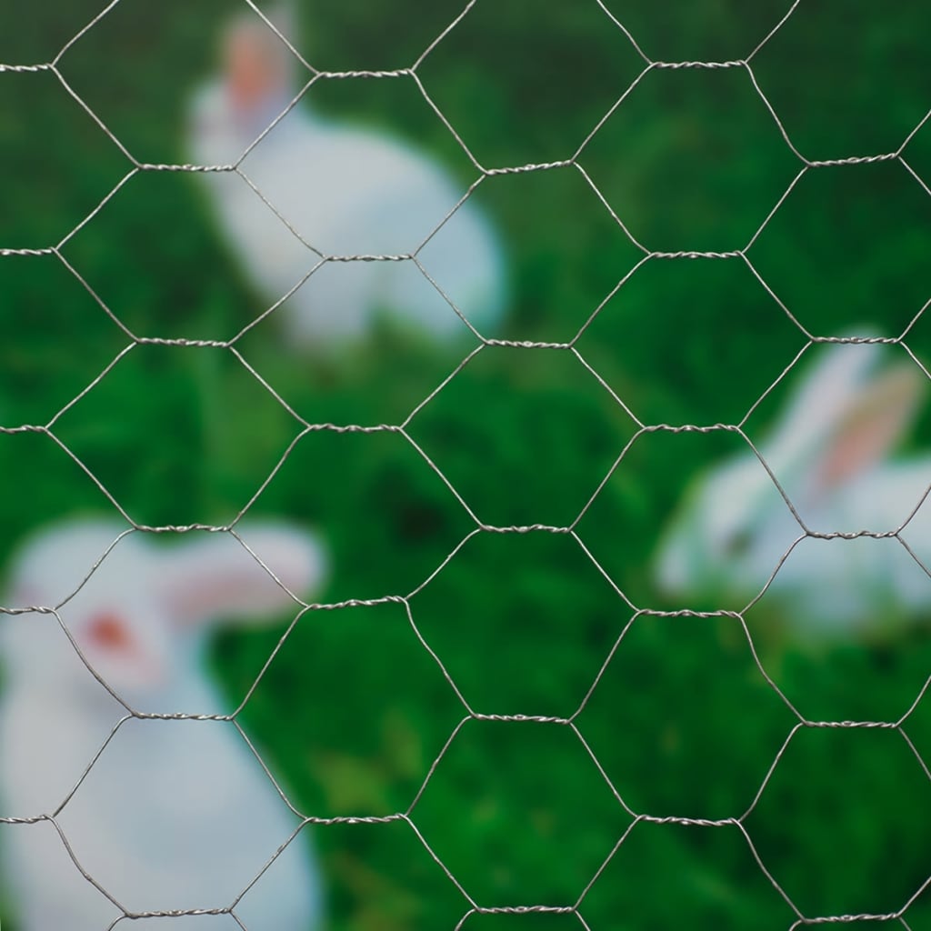 Nature žičana mreža šesterokutna 1 x 10 m 40 mm pocinčani čelik
