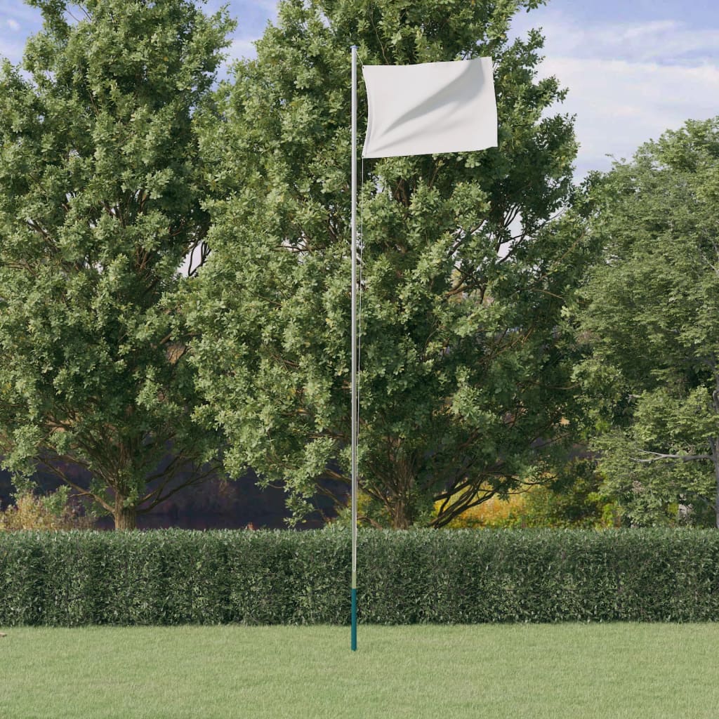 vidaXL Višedijelni stup za zastavu srebrni 6,23 m aluminijski