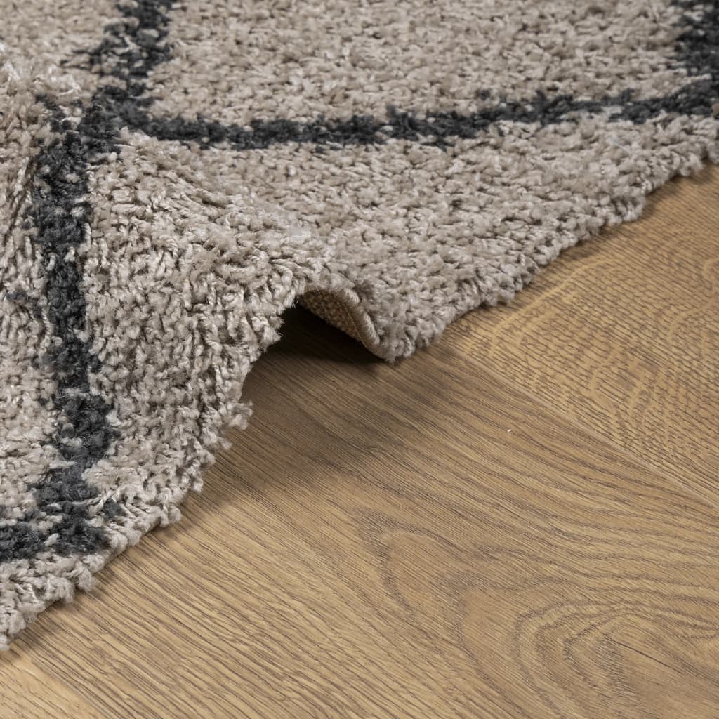 vidaXL Čupavi tepih PAMPLONA s visokim vlaknima bež-antracit 80x150 cm